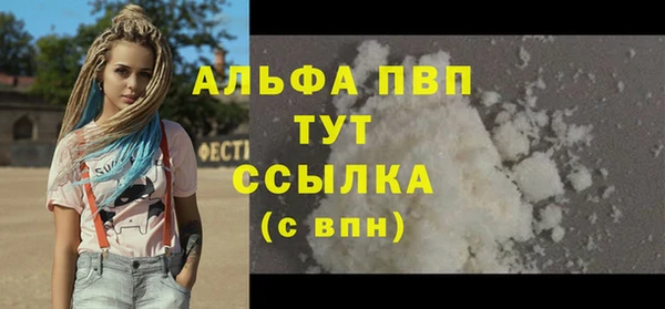 гидра Богданович