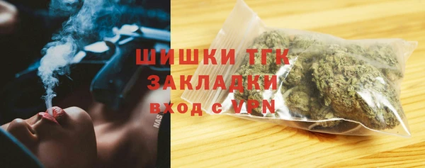гидра Богданович