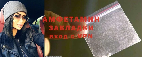 гидра Богданович