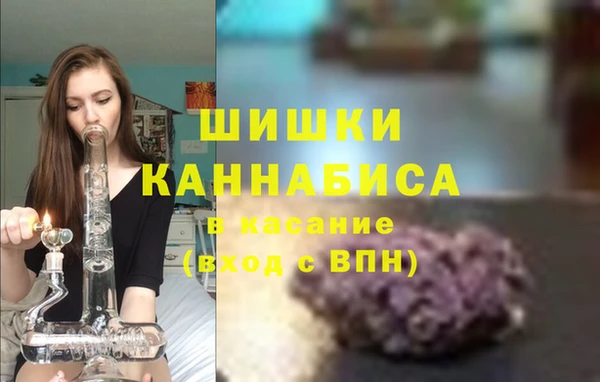 гидра Богданович