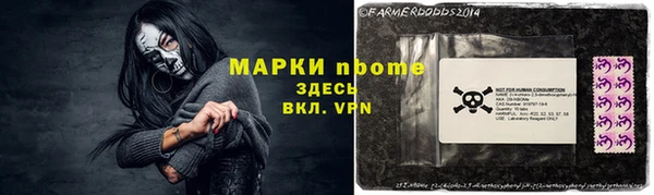 гидра Богданович