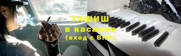 гидра Богданович
