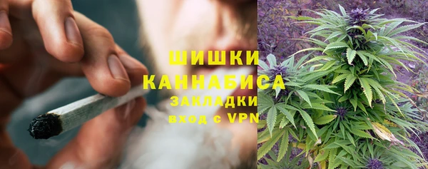гидра Богданович