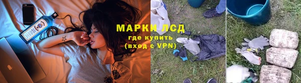 гидра Богданович
